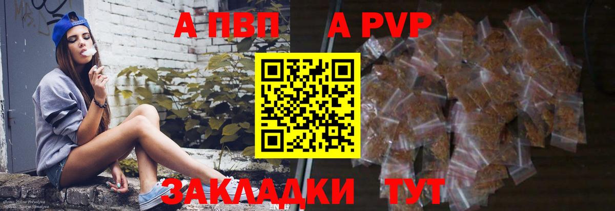 Альфа ПВП СК КРИС Будённовск