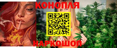 спайс Краснодар